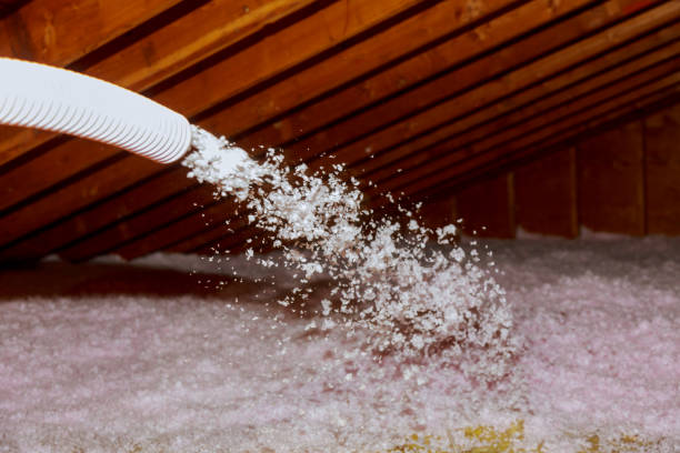 Best Fiberglass Insulation in East Pasadena, CA