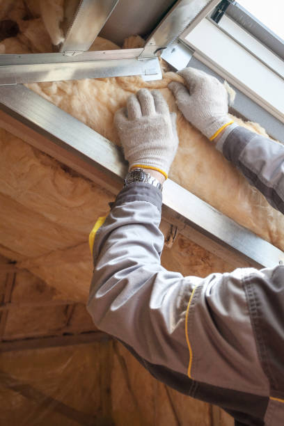 Best Blown-in Insulation in East Pasadena, CA